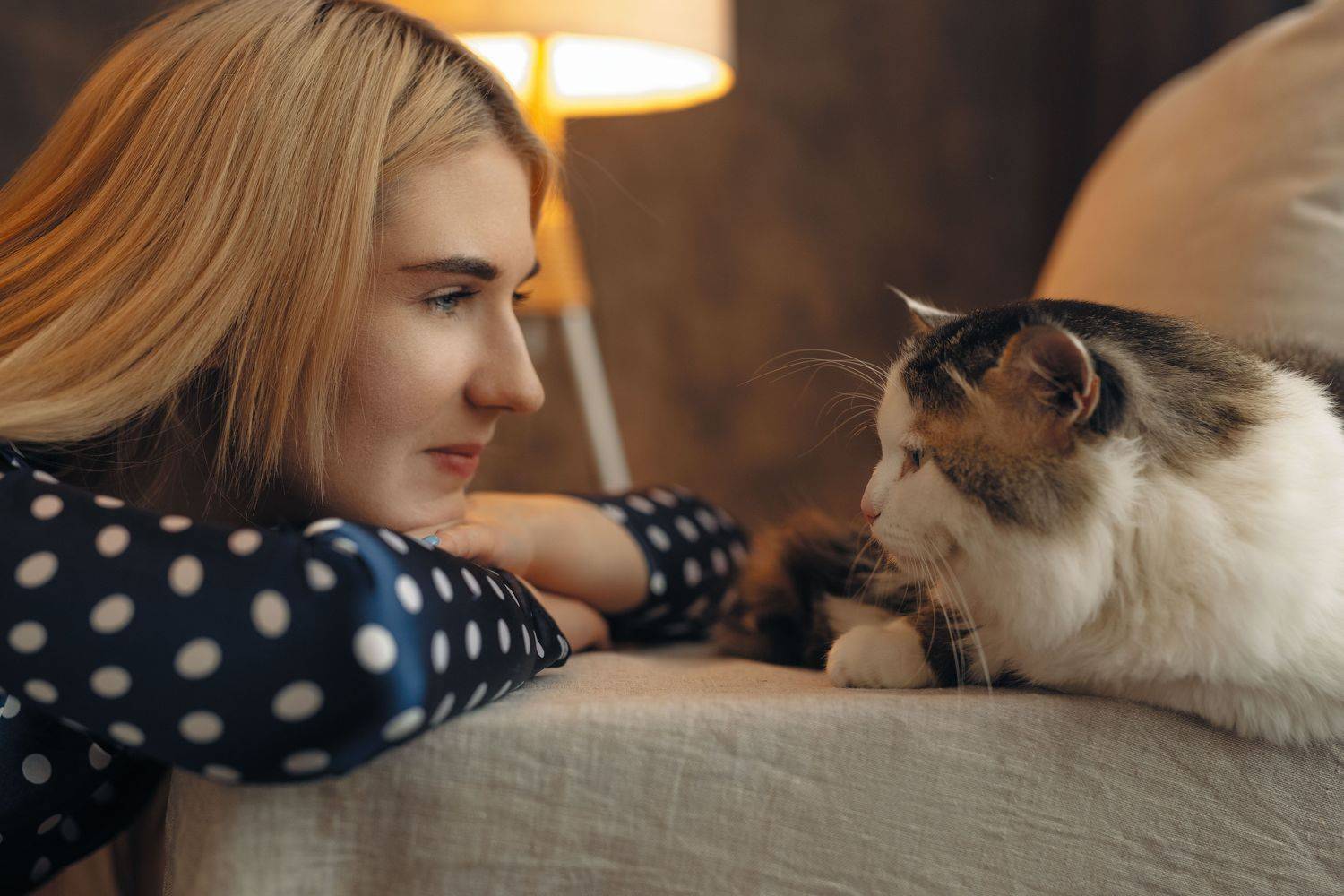 гламур, портрет, модель, арт, art, model, popular,питомец, кот, кошка, Иван Лосев