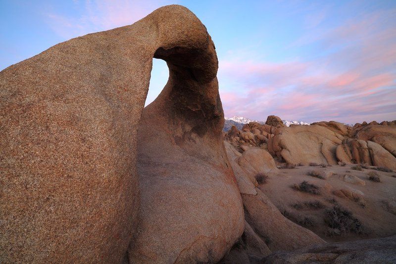 Пангея фото превью