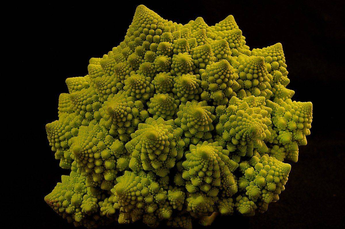 , Сергей Седов