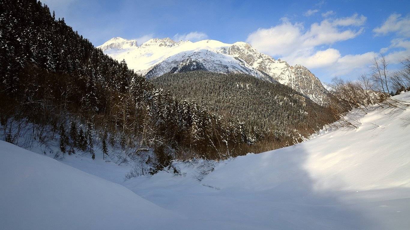 домбай, горы, скалы, лес, снег, зима, Serj Master