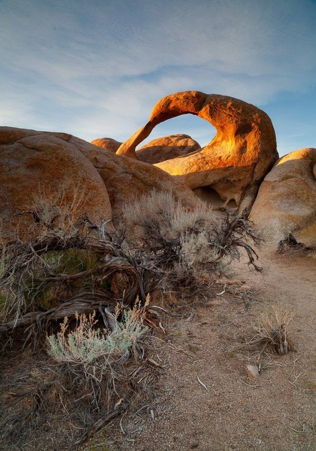 , Alexander Ravin (www.worldwidephoto.ru)