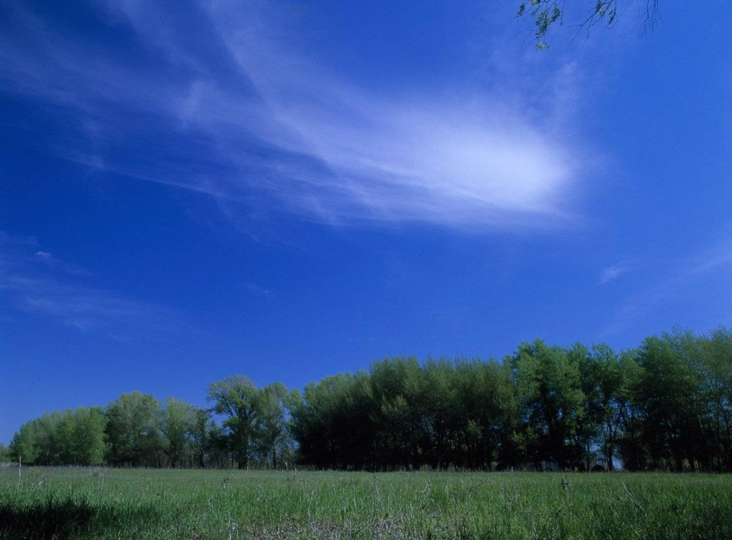 облака.небо.трава.деревья., Вадим