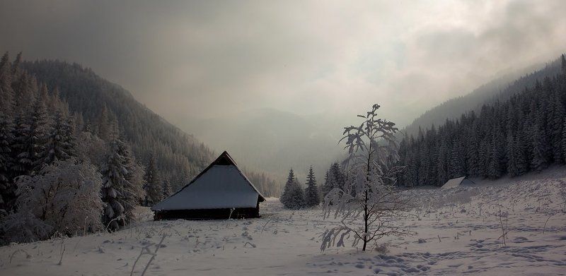 Когда зима почти иллюзия. фото превью