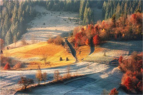 Карпатский минимализм