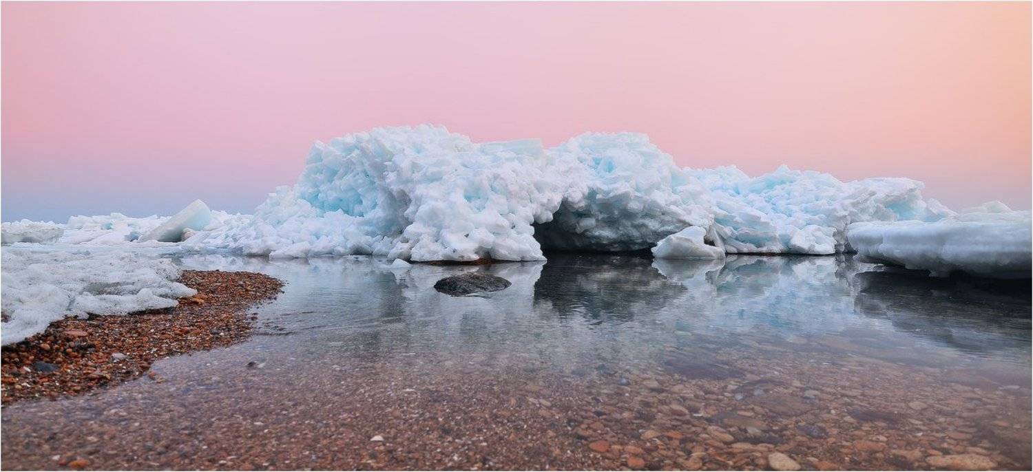 , Денис Кривой