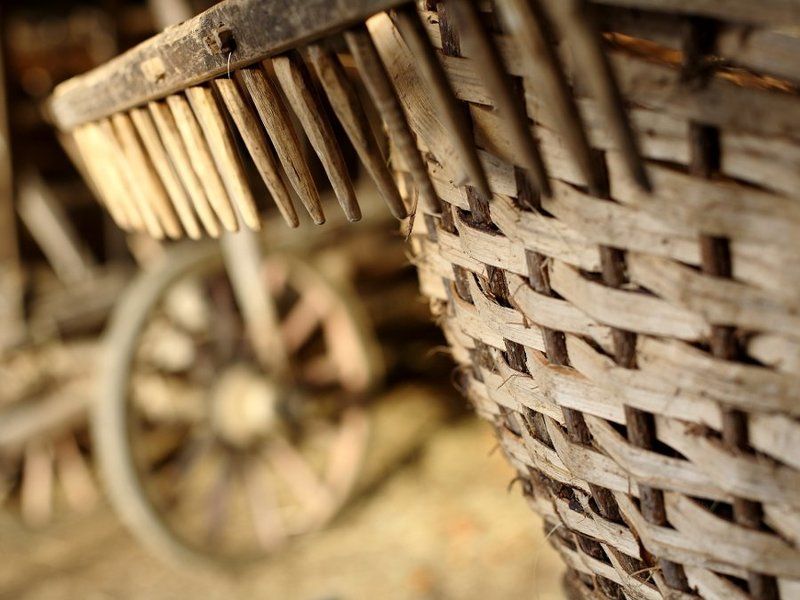 portfolio фото превью