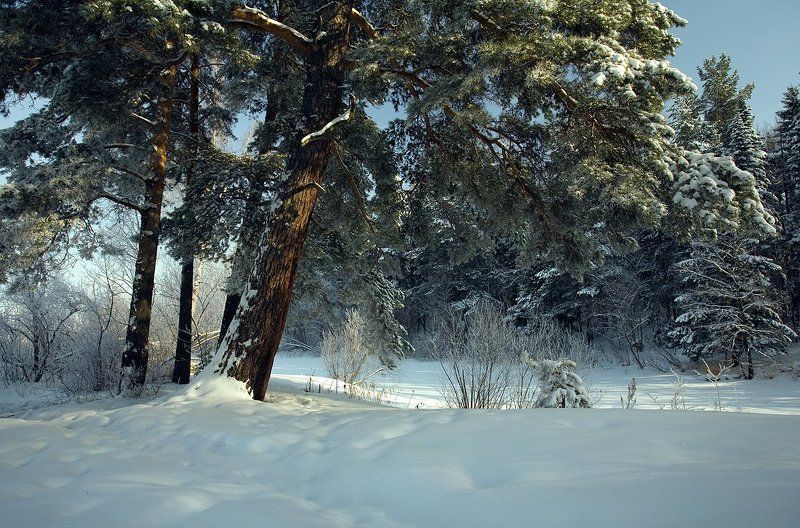 *** фото превью