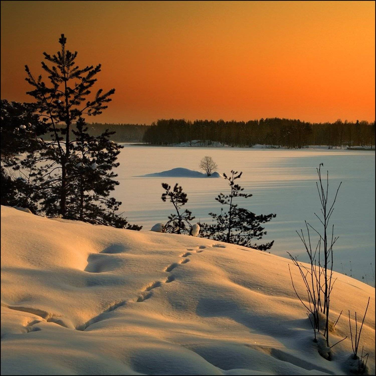 , Виктор Васильев