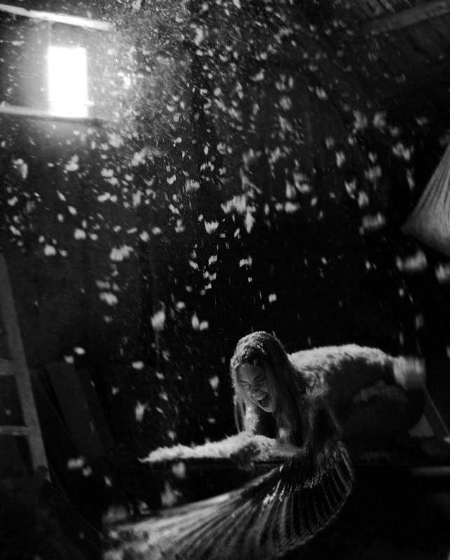 Превращение фото превью