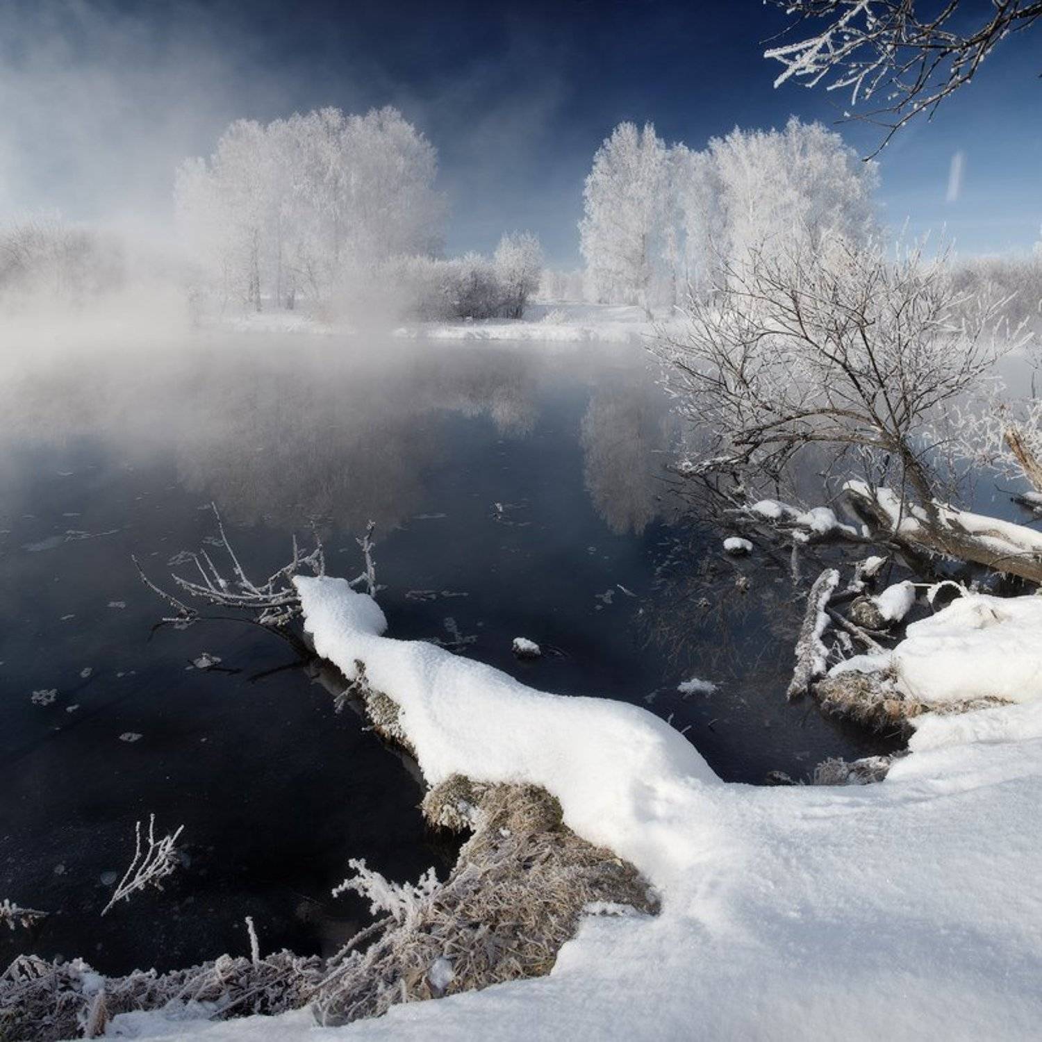 , Михаил Трахтенберг