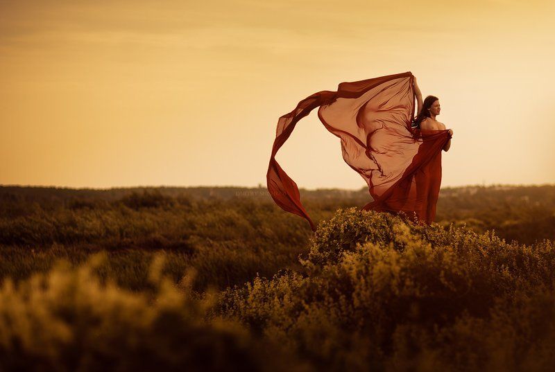 *** фото превью