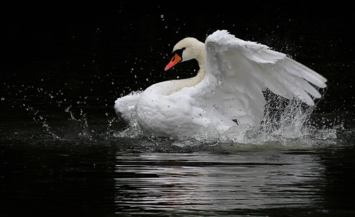 , Зоя Лаптева