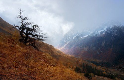 На высоте 3000