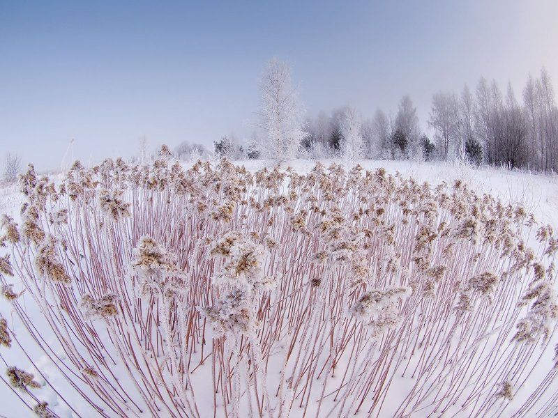 Вашутино *** фото превью