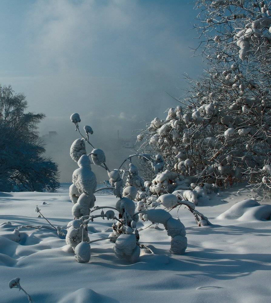 , Николай Морский