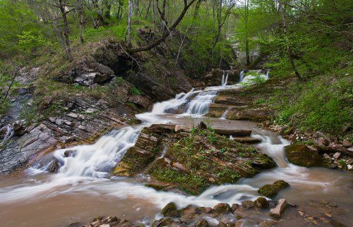 Журчат ручьи ...