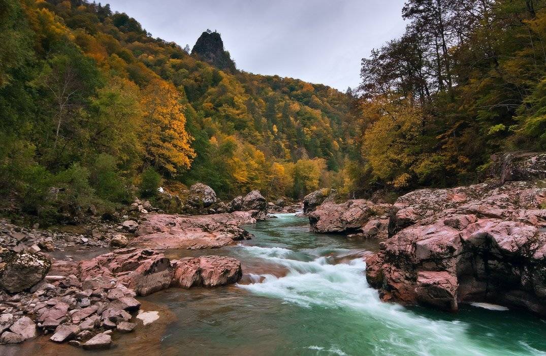 , Николай Мысливцев