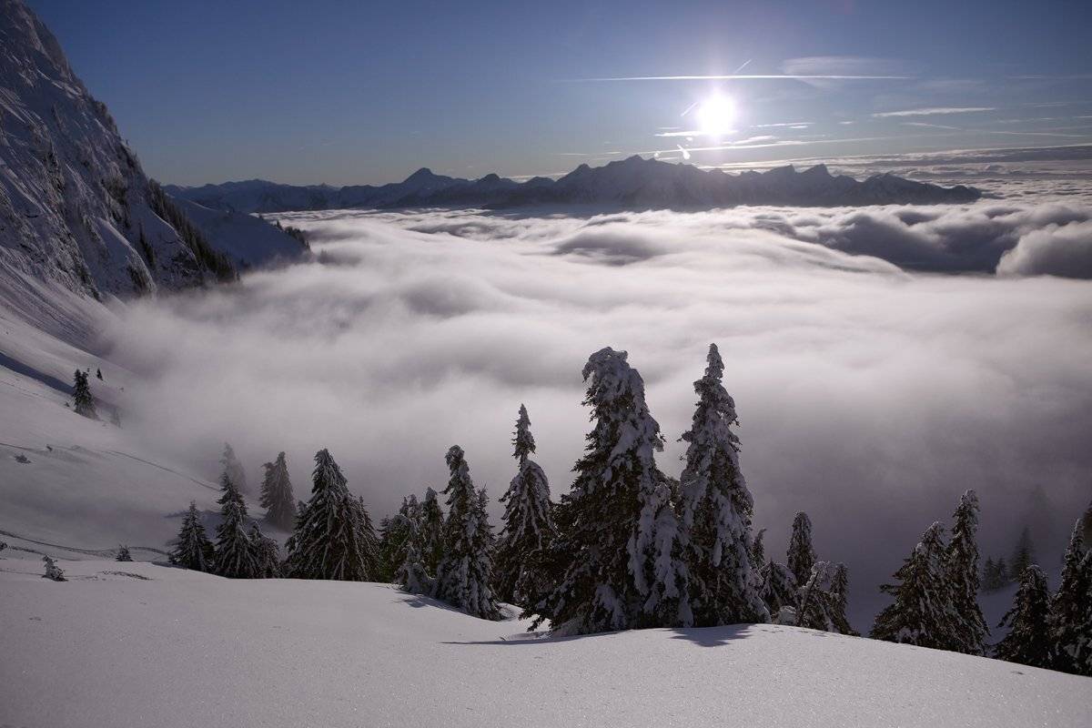 swiss, Матвеев Николай