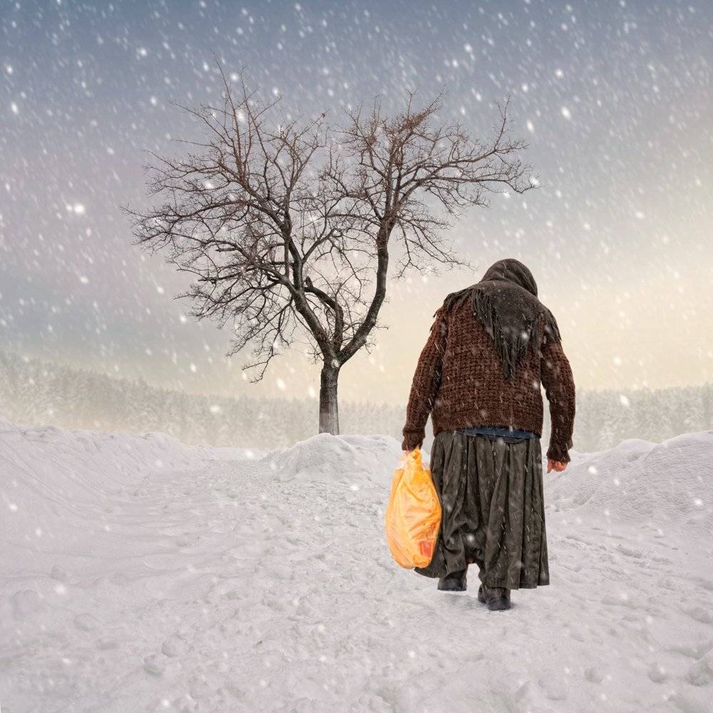 forest, winter, light, old, tree, woman, snow, walk, alone, pine, flakes, Caras Ionut