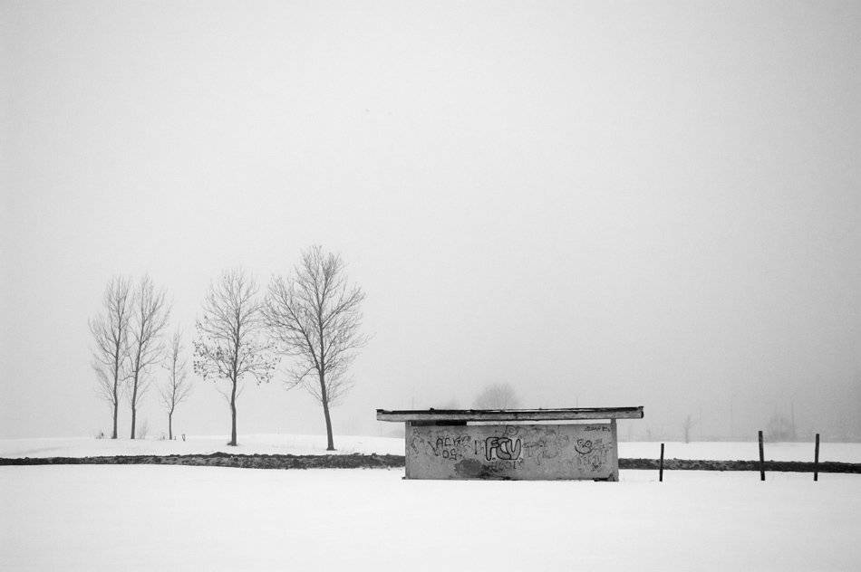 , Александр Гришаев