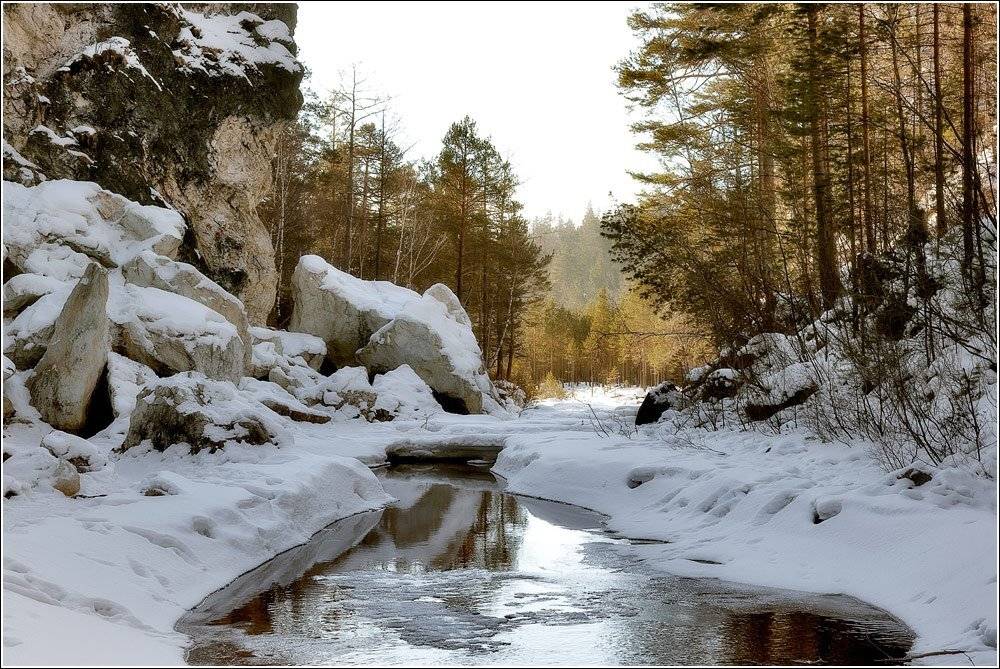 , Сергей Низовцев
