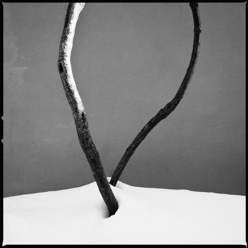 ( ) фото превью