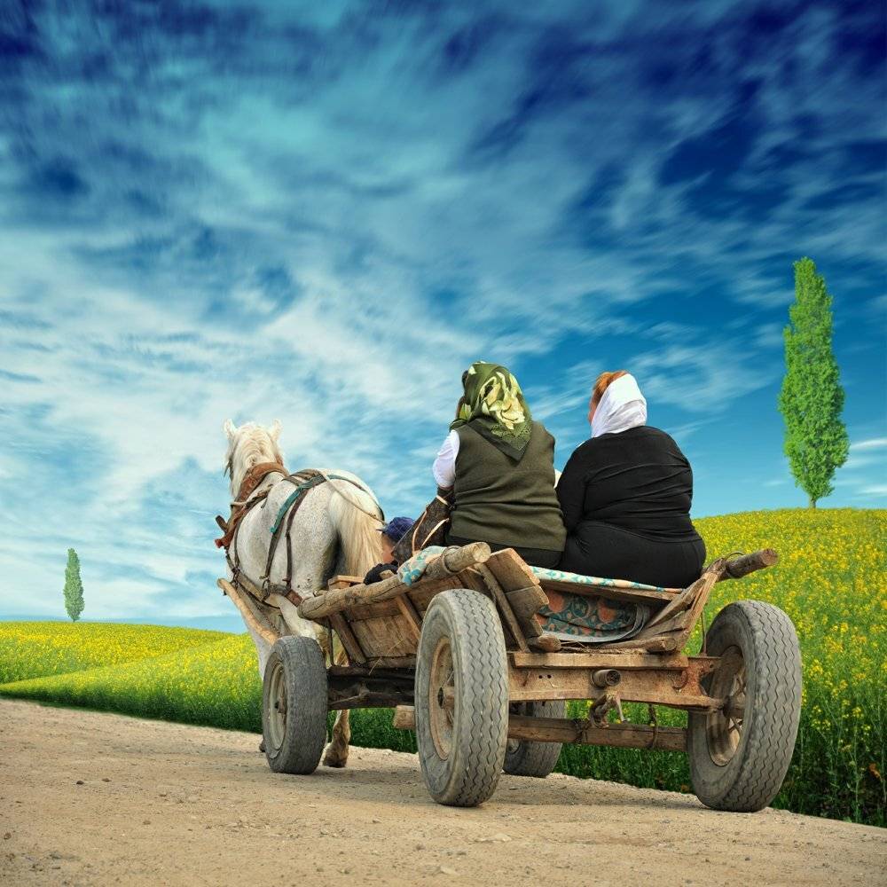 cart, horse, woman, girl, boy, tree, green, yellow, field, spring, summer, blue, sky, clouds, running, journey, Caras Ionut