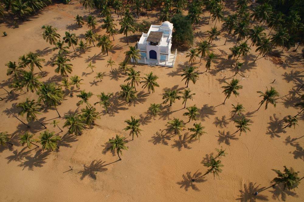 индия, гоа, пальмы, аэро, Борис Резванцев