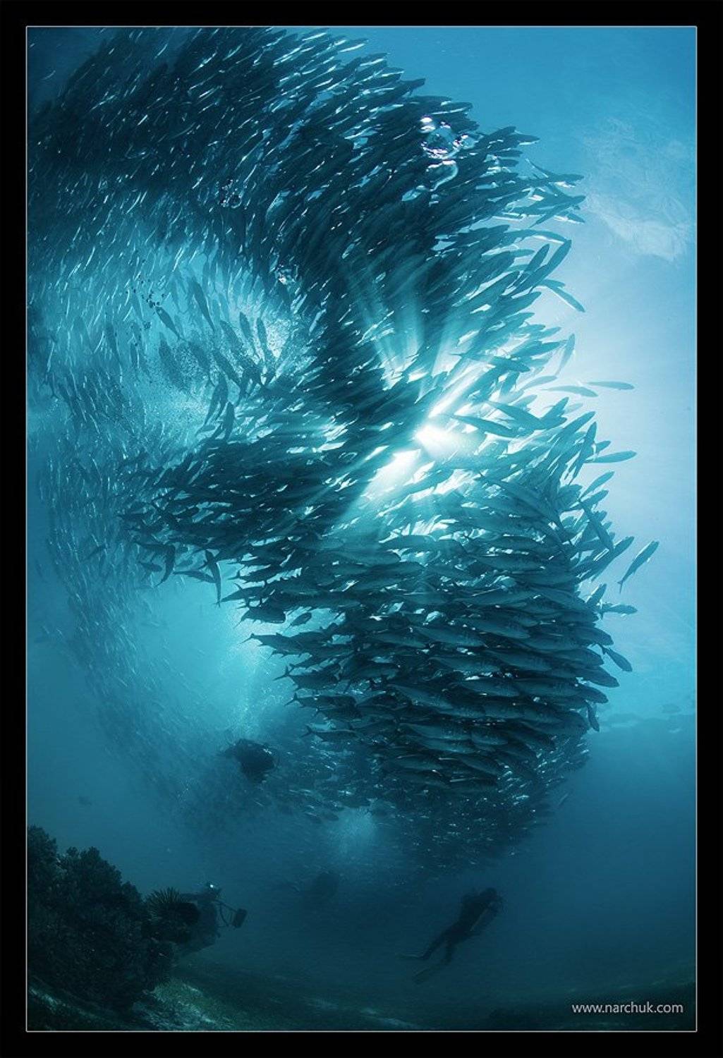 , Нарчук Андрей