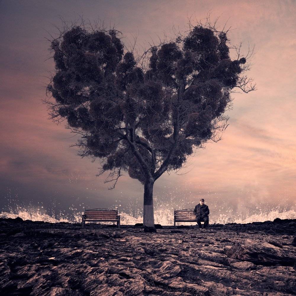 sky, water, ocean, tree, rocks, bench, love, alone, splash, heart, cliff, Caras Ionut
