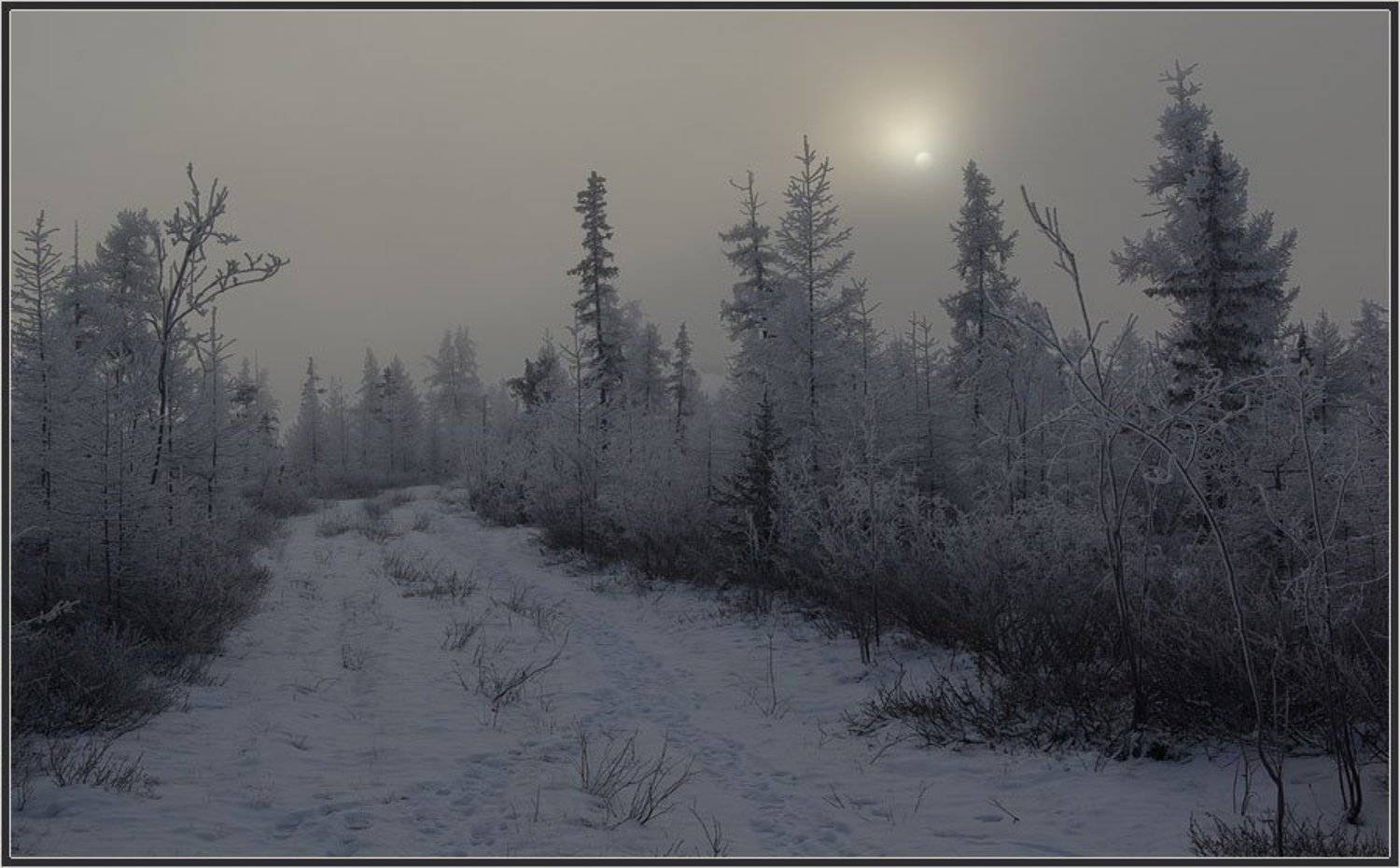 тайга, зима, якутия, Солодухин Виктор