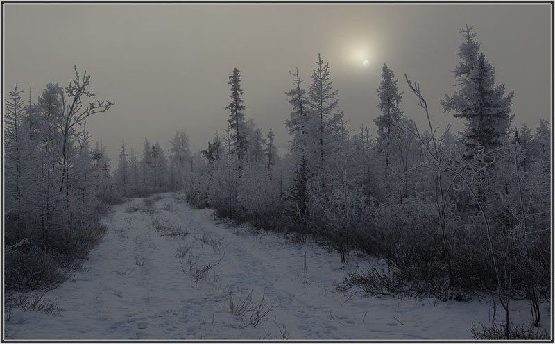 тайга, зима, якутия Мороз и солнце фото превью
