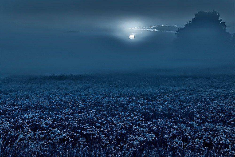 , Rimantas Bikulcius