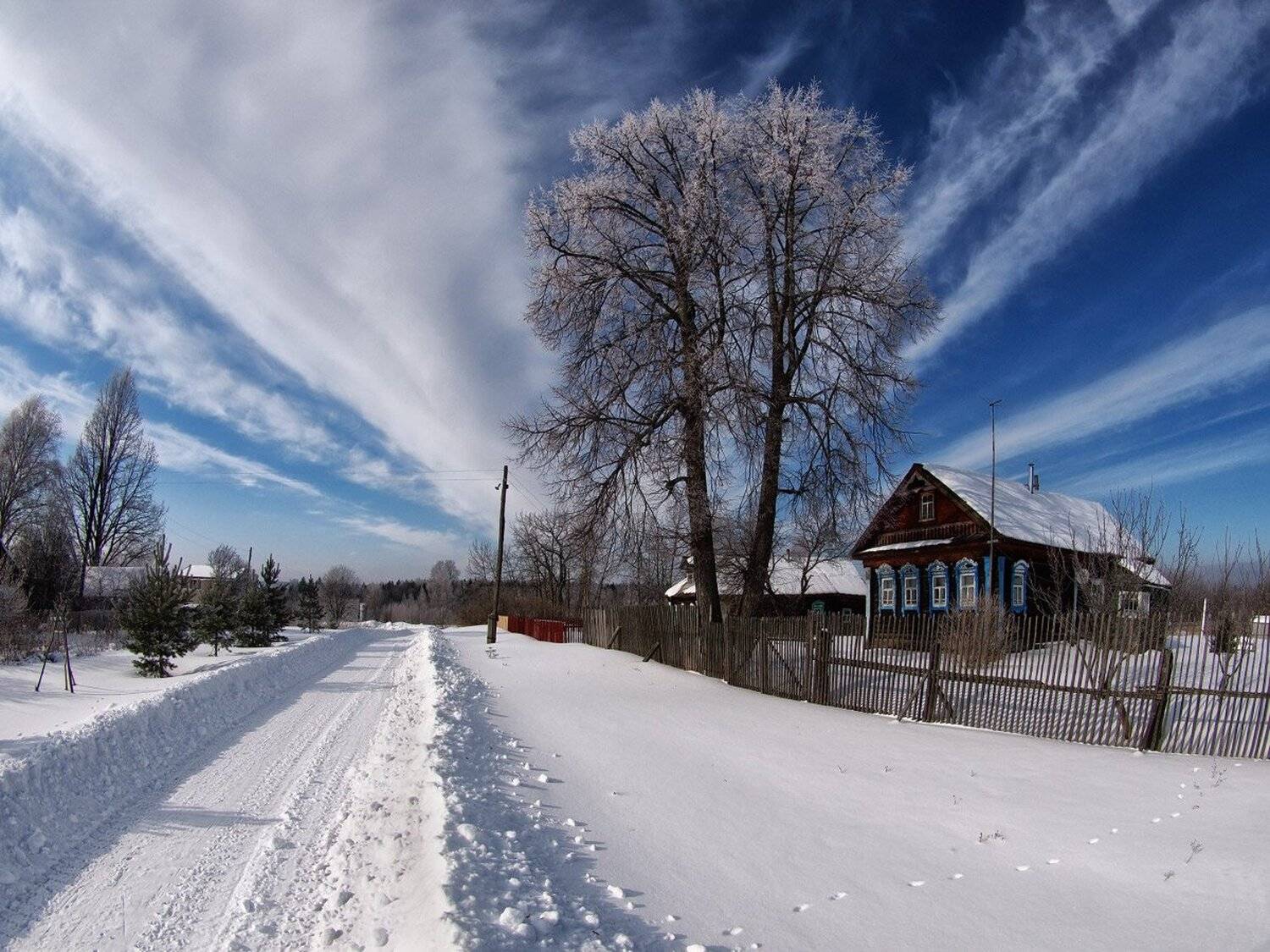 , Максим Евдокимов