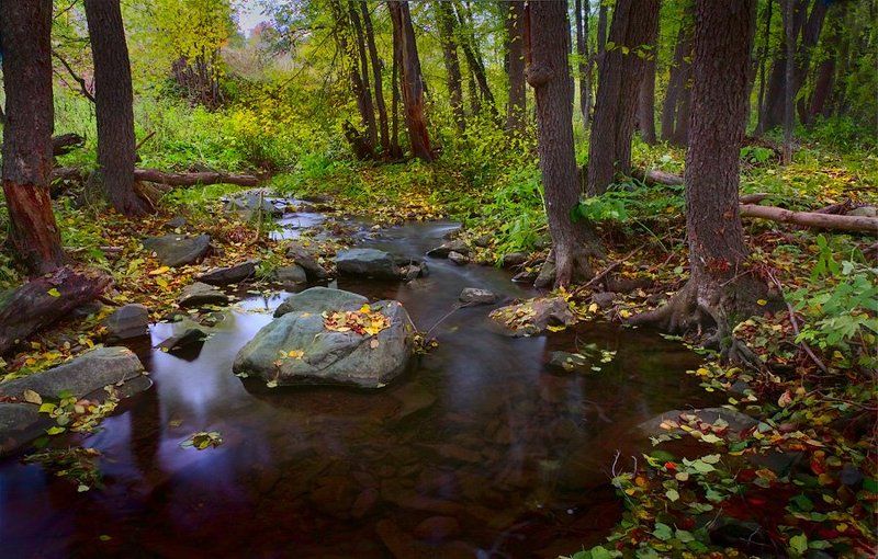 *** фото превью