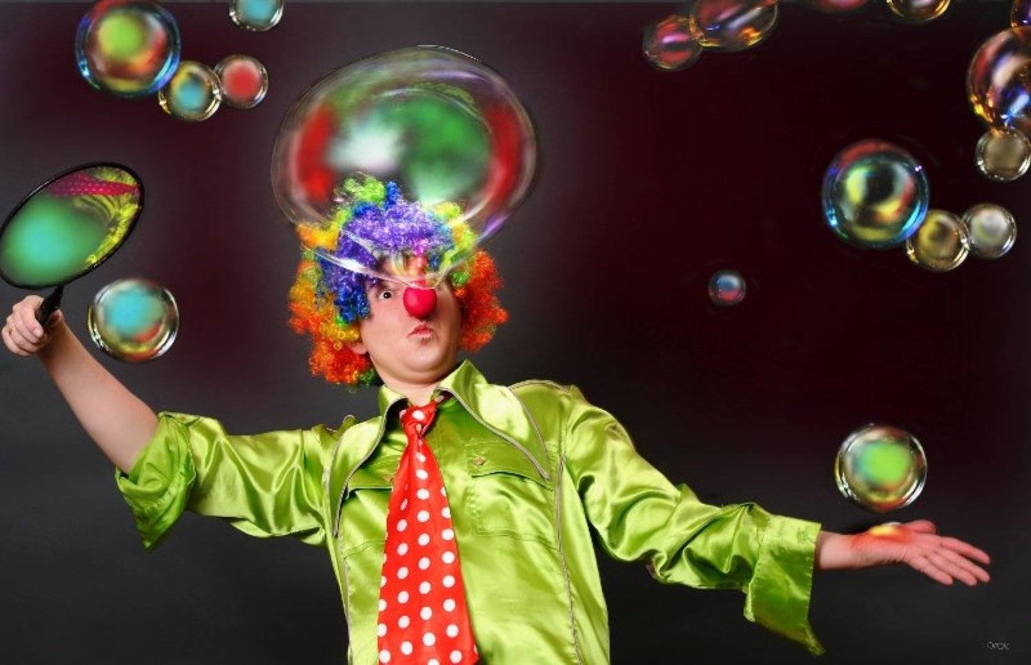 шоу, Владимир Копылов