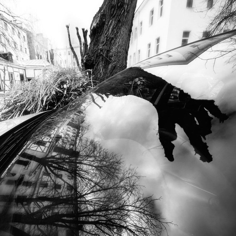 Собиратель хвороста фото превью