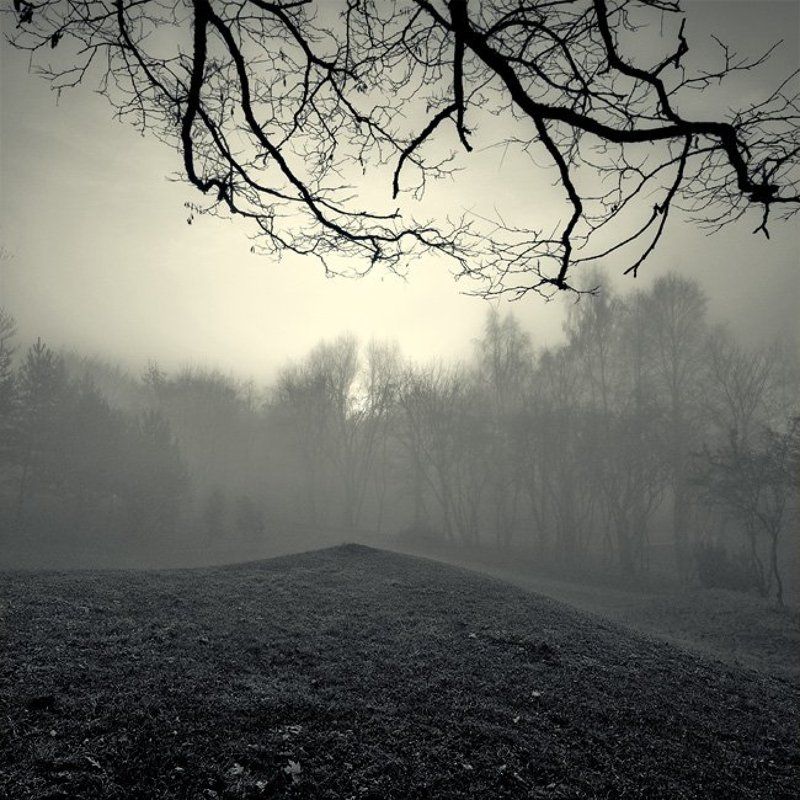 Курганчик фото превью