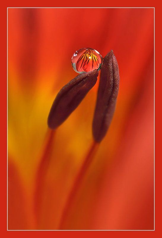 радуга РАДУГА фото превью