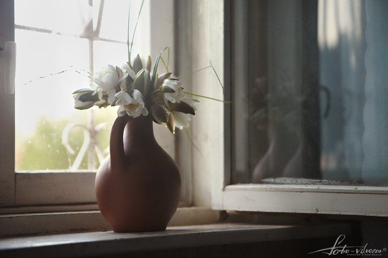 лилия водяная, кувшинка белая, фото вдвоем, foto-vdvoem милые дамы, с наступающим весенним праздником!!!!!!! фото превью