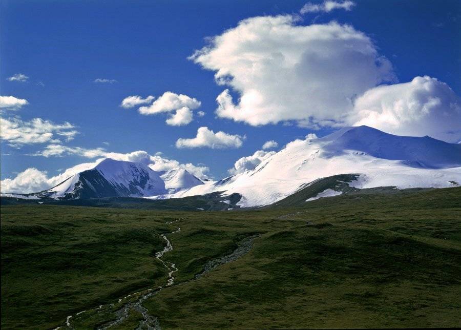 алтай, Павел Мартюшев