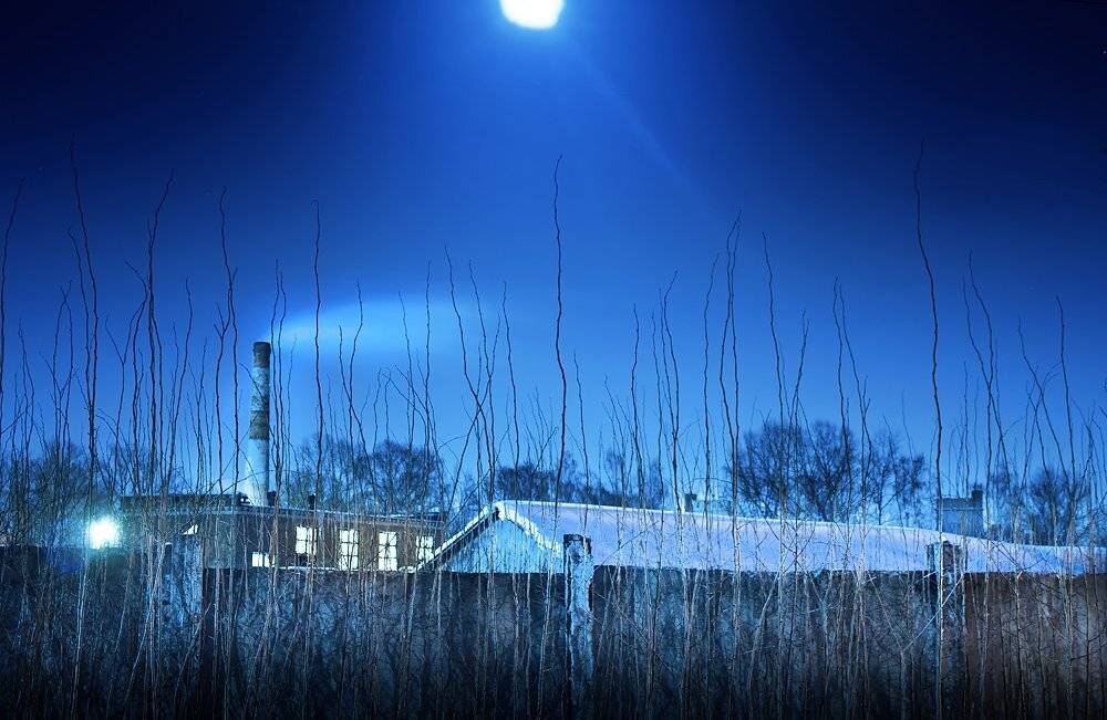 , Сергей Зимин