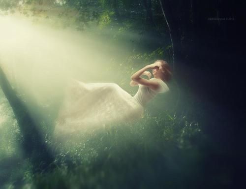 flying into the light..