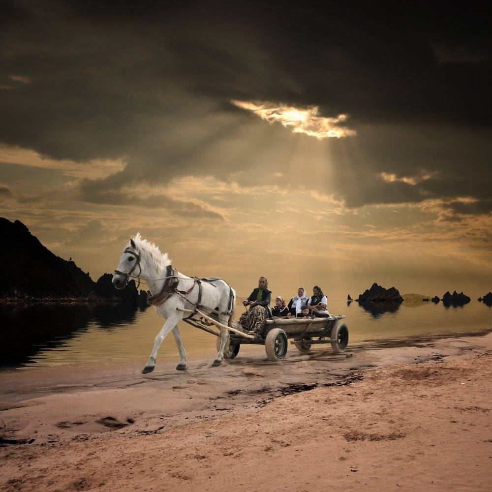 cart, woman, girl, boy, mounting, cligg, beach, sand, water, ocean, light, sky, clouds, rays, Caras Ionut