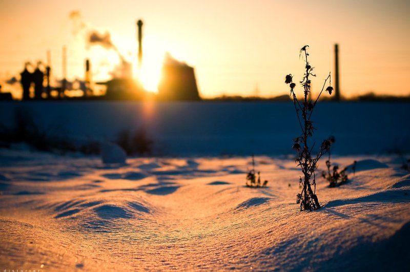 закат, зима, природа, снег The End фото превью