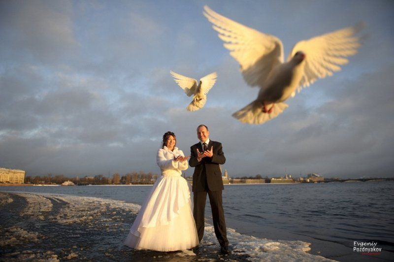 свадьба, свадебный фотограф, фотограф на свадьбу, евгений поздняков, http://fotoevgeniy.ru/ *** фото превью