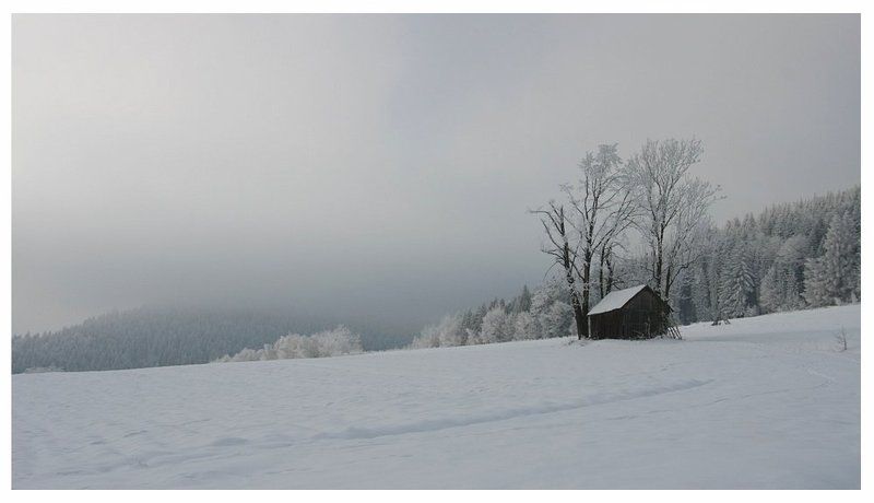 ^^^ фото превью