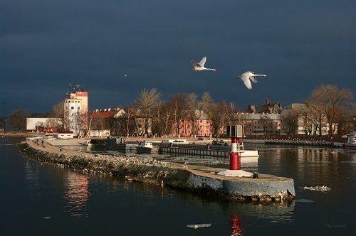 Весеннее утро в семейном кругу