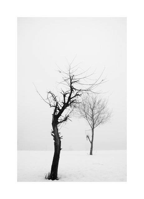 , Александр Гришаев