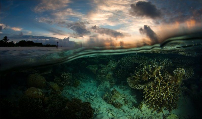 было_дело Однажды вечером фото превью